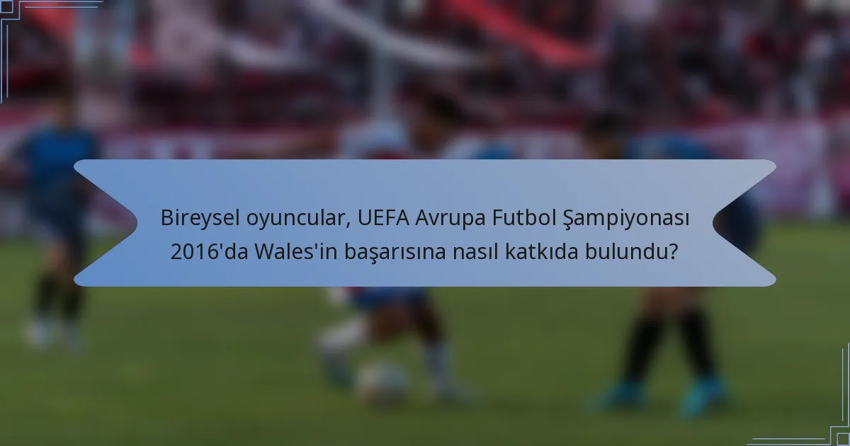Bireysel oyuncular, UEFA Avrupa Futbol Şampiyonası 2016'da Wales'in başarısına nasıl katkıda bulundu?