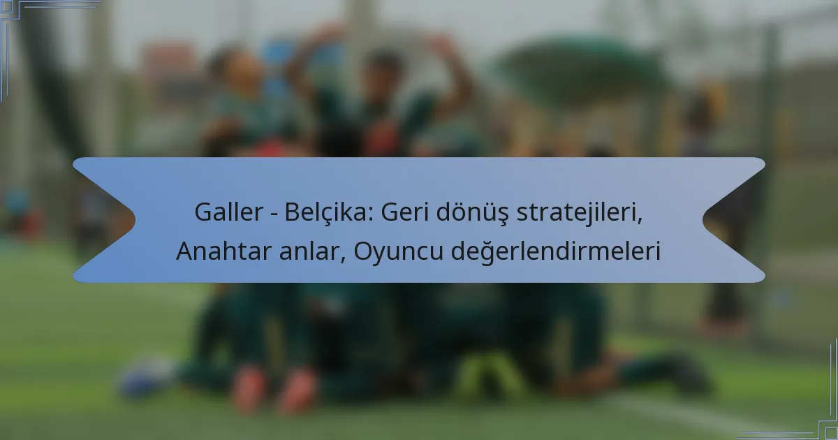 Galler – Belçika: Geri dönüş stratejileri, Anahtar anlar, Oyuncu değerlendirmeleri