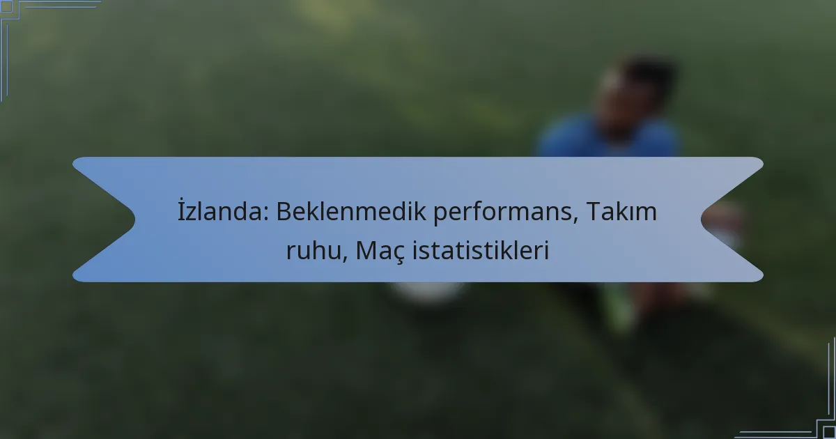 İzlanda: Beklenmedik performans, Takım ruhu, Maç istatistikleri