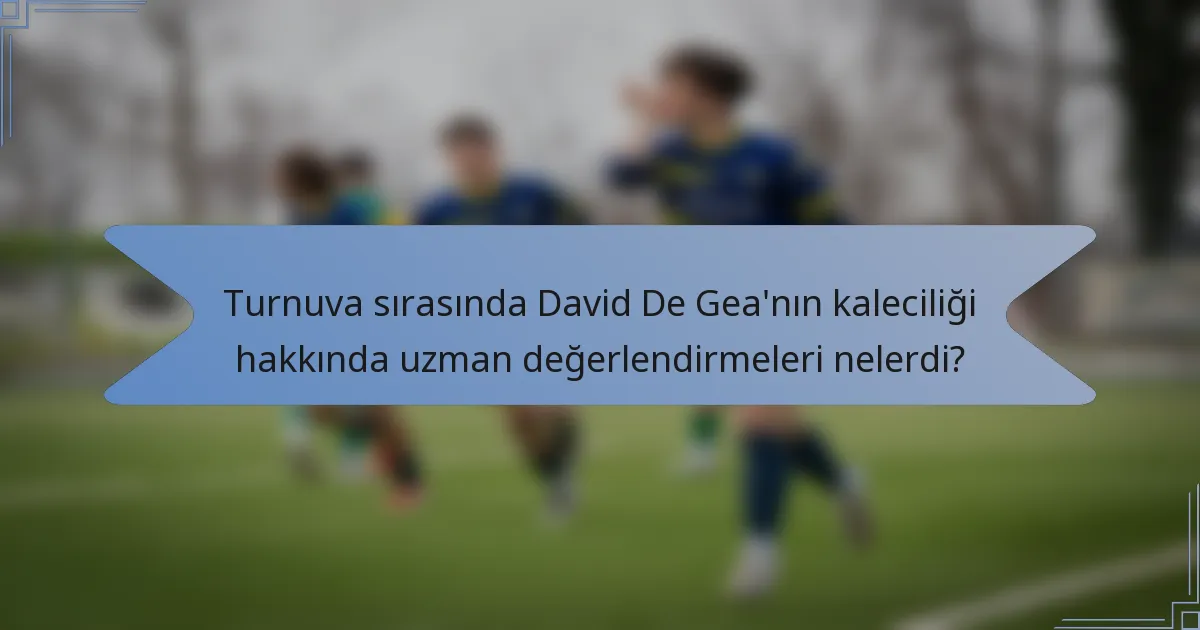 Turnuva sırasında David De Gea'nın kaleciliği hakkında uzman değerlendirmeleri nelerdi?